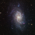 M33