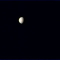 Venus